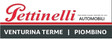Logo Pettinelli srl
